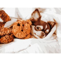 Tablouri pe numere Ideyka „Dimineata itsita” 30x40cm KHO4268