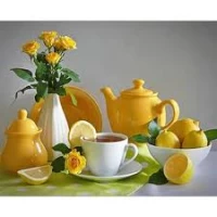 Mozaica cu Diamante 30x40 cm "Nature Morte cu Lamai"