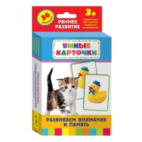 Развиваем внимание и память (Разв. карточки 3+)