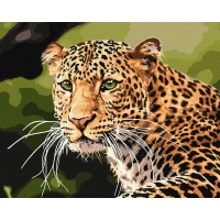 Tablou pe numere "Leopard cu ochi verzi" 40x50 cm KHO4322