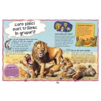 Cea mai nouă carte de întrebări și răspunsuri