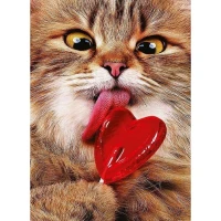 Mozaica cu Diamante 50x65 cm "Pisicuța cu bombonele"