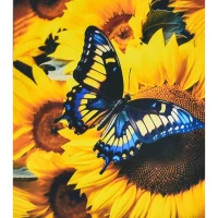 Mozaica cu Diamante 40x50 cm "Fluturele și floarea-soarelui"