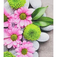 Mozaica cu Diamante 40x50 cm "Frumusețe neobișnuită"