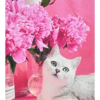 Mozaica cu Diamante 40x50 cm "Delicatețe în roz”