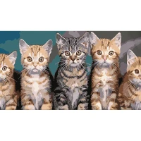 Tablou pe numere 50x25 cm "Pisicuțe"