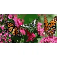 Tablou pe numere 50x25 cm "Fluturi"