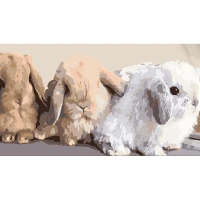 Tablou pe numere 50x25 cm "Iepurași pufoși"