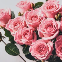 Mozaica cu Diamante 30x30 cm "Trandafiri roz"