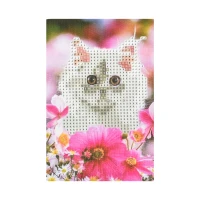 Mozaica cu Diamante 10x15 cm "Pisicuța blândă"