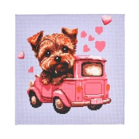 Broderie 30x30 cm "Cațel la volan"