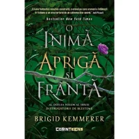 Distrugătorii de Blesteme, Vol. 2. O inimă aprigă și frântă