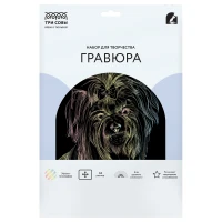 Gravura cu efect holografic "York", A4, ТРИ СОВЫ