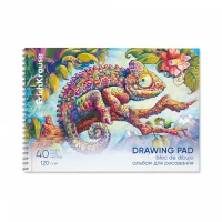 Album de desen pe spirala Chameleon,А4,40 foi (4buc/col) ErichKrause 61529