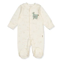 Organic body Dino baieti