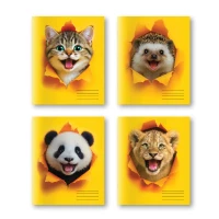 Caiet  48 foi patratele (Dorinta)