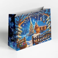 Punga cadou. Seara de Craciun